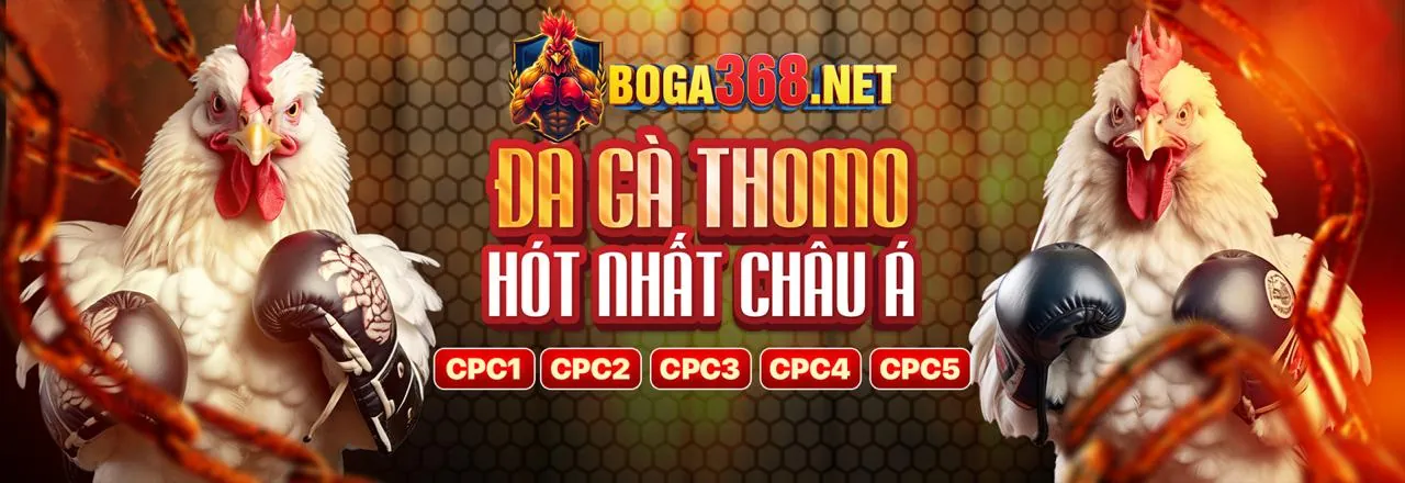 Chào mừng đến với fvip88 nhà cái, nền tảng cá cược trực tuyến uy tín hàng đầu